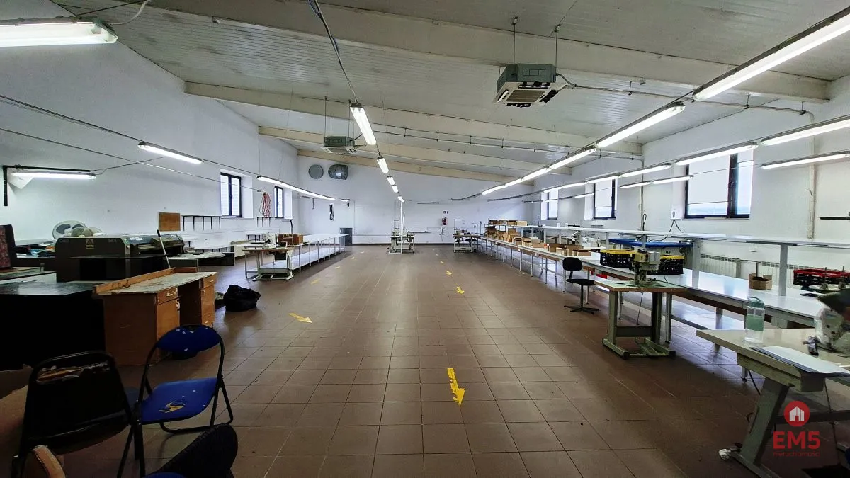 Lokal użytkowy 300 m2 na wynajem