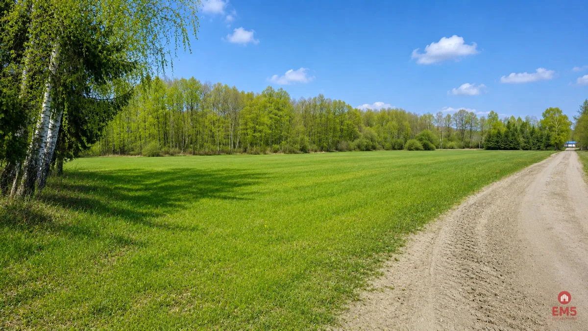 Działka rolno-budowlana 2,5 ha. Nowosiółki