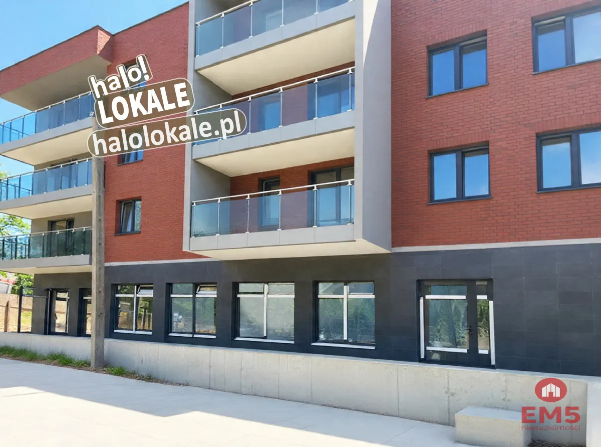 Nowe lokale do wynajęcia