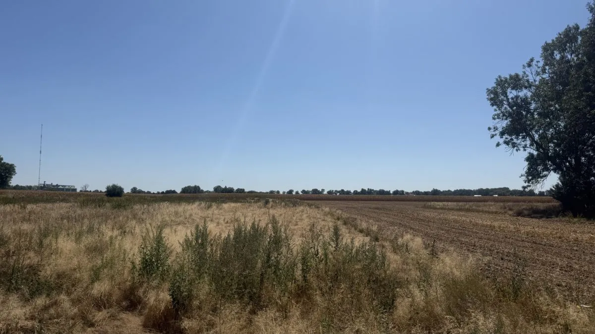 działki budowalne Szukalice gm.Żórawina