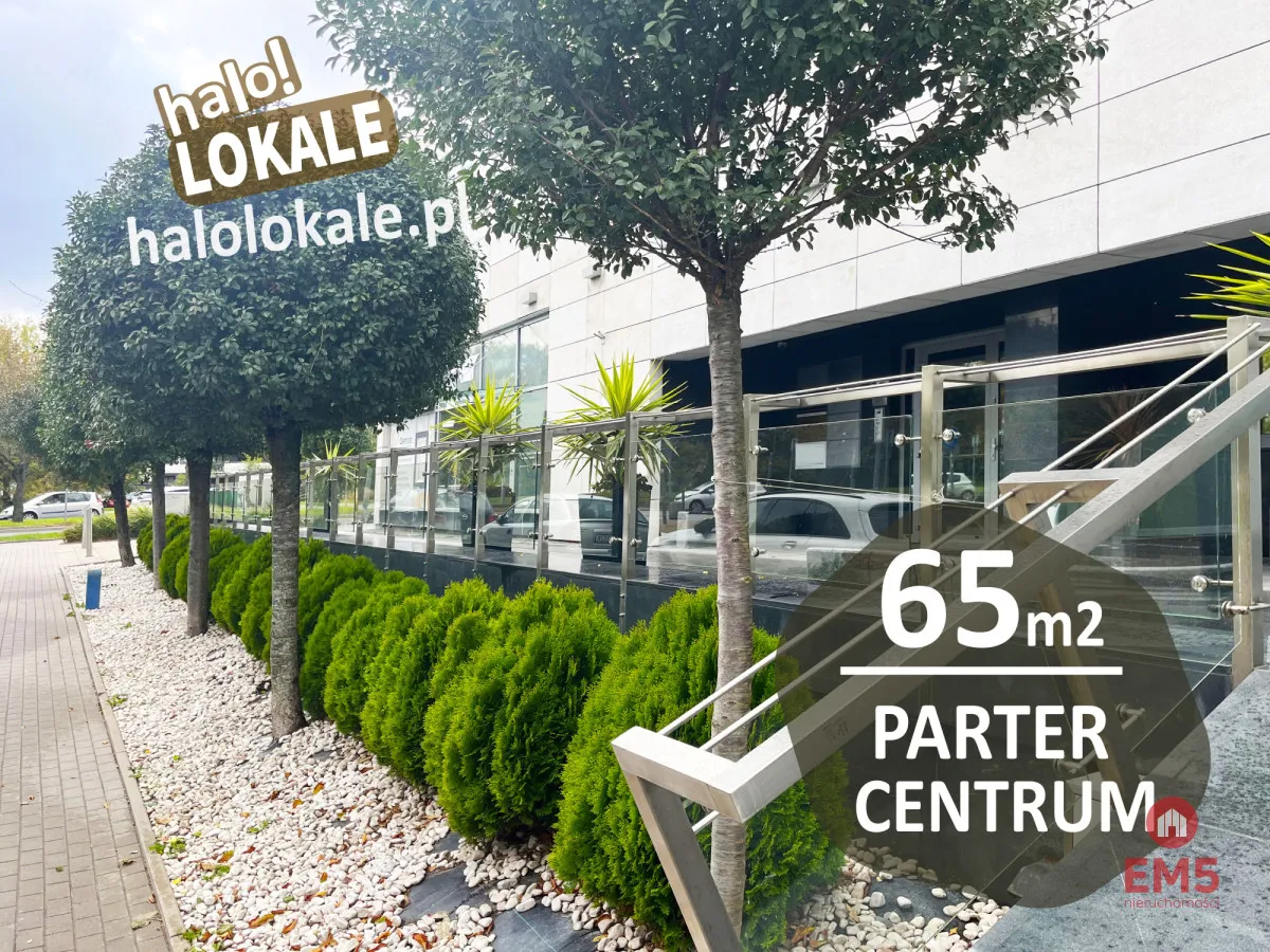 Parter 65m2 w centrum miasta
