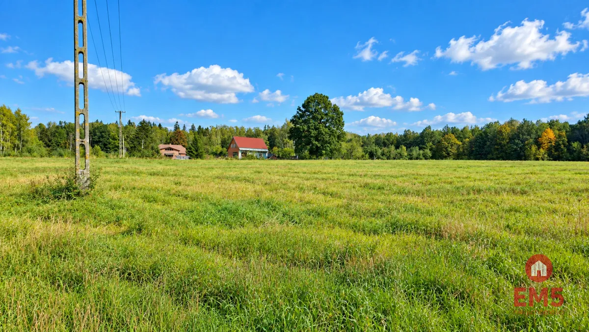 Działka pod lasem. Łubianka