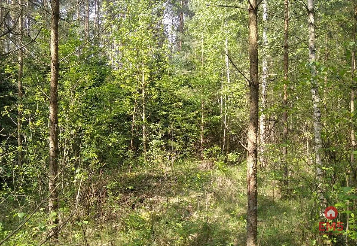 Działka idealna na domek.